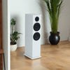 Agate F26 2.5way Floor Standing Speaker